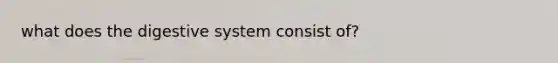 what does the digestive system consist of?