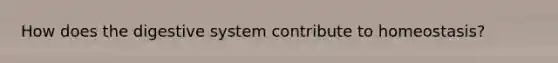 How does the digestive system contribute to homeostasis?