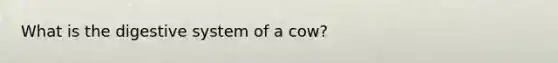 What is the digestive system of a cow?