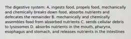 The digestive system: A. ingests food, propels food, mechanically and chemically breaks down food, absorbs nutrients and defecates the remainder B. mechanically and chemically assembles food from absorbed nutrients C. sends cellular debris to lysosomes D. absorbs nutrients in the mouth, pharynx, esophagus and stomach, and releases nutrients in the intestines