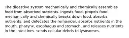 The digestive system mechanically and chemically assembles food from absorbed nutrients. ingests food, propels food, mechanically and chemically breaks down food, absorbs nutrients, and defecates the remainder. absorbs nutrients in the mouth, pharynx, esophagus and stomach, and releases nutrients in the intestines. sends cellular debris to lysosomes.