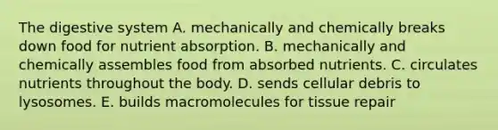 The digestive system A. mechanically and chemically breaks down food for nutrient absorption. B. mechanically and chemically assembles food from absorbed nutrients. C. circulates nutrients throughout the body. D. sends cellular debris to lysosomes. E. builds macromolecules for tissue repair