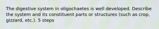 The digestive system in oligochaetes is well developed. Describe the system and its constituent parts or structures (such as crop, gizzard, etc.). 5 steps