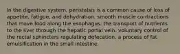 In the digestive system, peristalsis is a common cause of loss of appetite, fatigue, and dehydration. smooth muscle contractions that move food along the esophagus. the transport of nutrients to the liver through the hepatic portal vein. voluntary control of the rectal sphincters regulating defecation. a process of fat emulsification in the small intestine.