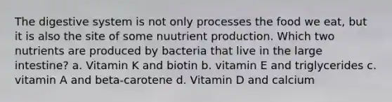 The digestive system is not only processes the food we eat, but it is also the site of some nuutrient production. Which two nutrients are produced by bacteria that live in the large intestine? a. Vitamin K and biotin b. vitamin E and triglycerides c. vitamin A and beta-carotene d. Vitamin D and calcium