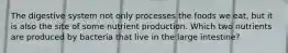 The digestive system not only processes the foods we eat, but it is also the site of some nutrient production. Which two nutrients are produced by bacteria that live in the large intestine?