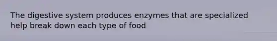 The digestive system produces enzymes that are specialized help break down each type of food