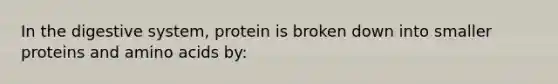 In the digestive system, protein is broken down into smaller proteins and amino acids by: