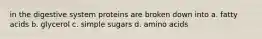 in the digestive system proteins are broken down into a. fatty acids b. glycerol c. simple sugars d. amino acids