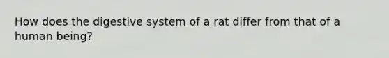 How does the digestive system of a rat differ from that of a human being?