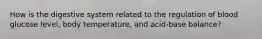 How is the digestive system related to the regulation of blood glucose level, body temperature, and acid-base balance?
