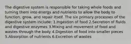 The digestive system is responsible for taking whole foods and turning them into energy and nutrients to allow the body to function, grow, and repair itself. The six primary processes of the digestive system include: 1.Ingestion of food 2.Secretion of fluids and digestive enzymes 3.Mixing and movement of food and wastes through the body 4.Digestion of food into smaller pieces 5.Absorption of nutrients 6.Excretion of wastes