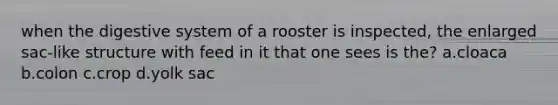 when the digestive system of a rooster is inspected, the enlarged sac-like structure with feed in it that one sees is the? a.cloaca b.colon c.crop d.yolk sac
