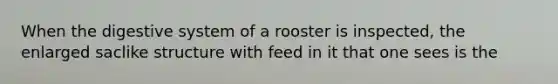 When the digestive system of a rooster is inspected, the enlarged saclike structure with feed in it that one sees is the