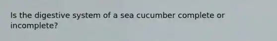 Is the digestive system of a sea cucumber complete or incomplete?