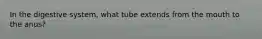 In the digestive system, what tube extends from the mouth to the anus?