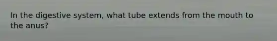 In the digestive system, what tube extends from <a href='https://www.questionai.com/knowledge/krBoWYDU6j-the-mouth' class='anchor-knowledge'>the mouth</a> to the anus?