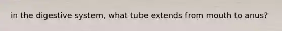 in the digestive system, what tube extends from mouth to anus?