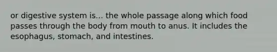 or digestive system is... the whole passage along which food passes through the body from mouth to anus. It includes the esophagus, stomach, and intestines.