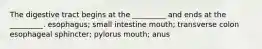 The digestive tract begins at the _________ and ends at the _________. esophagus; small intestine mouth; transverse colon esophageal sphincter; pylorus mouth; anus