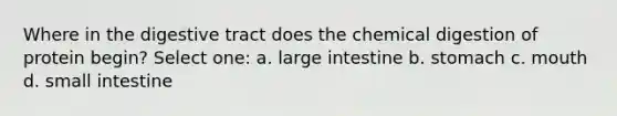 Where in the digestive tract does the chemical digestion of protein begin? Select one: a. large intestine b. stomach c. mouth d. small intestine