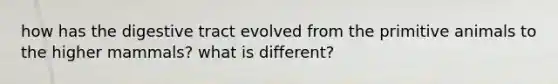 how has the digestive tract evolved from the primitive animals to the higher mammals? what is different?