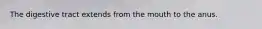 The digestive tract extends from the mouth to the anus.