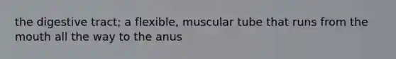 the digestive tract; a flexible, muscular tube that runs from the mouth all the way to the anus