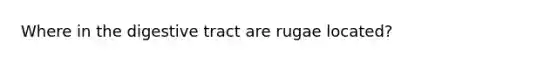 Where in the digestive tract are rugae located?