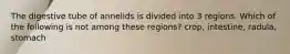 The digestive tube of annelids is divided into 3 regions. Which of the following is not among these regions? crop, intestine, radula, stomach