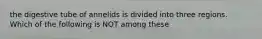 the digestive tube of annelids is divided into three regions. Which of the following is NOT among these