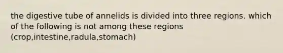 the digestive tube of annelids is divided into three regions. which of the following is not among these regions (crop,intestine,radula,stomach)