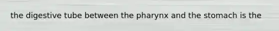 the digestive tube between the pharynx and the stomach is the