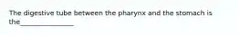 The digestive tube between the pharynx and the stomach is the________________