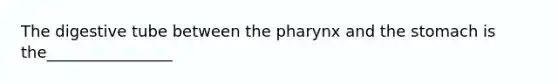 The digestive tube between <a href='https://www.questionai.com/knowledge/ktW97n6hGJ-the-pharynx' class='anchor-knowledge'>the pharynx</a> and the stomach is the________________