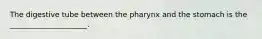 The digestive tube between the pharynx and the stomach is the _____________________.