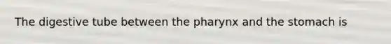 The digestive tube between <a href='https://www.questionai.com/knowledge/ktW97n6hGJ-the-pharynx' class='anchor-knowledge'>the pharynx</a> and <a href='https://www.questionai.com/knowledge/kLccSGjkt8-the-stomach' class='anchor-knowledge'>the stomach</a> is