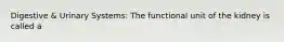 Digestive & Urinary Systems: The functional unit of the kidney is called a