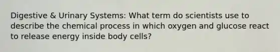 Digestive & Urinary Systems: What term do scientists use to describe the chemical process in which oxygen and glucose react to release energy inside body cells?