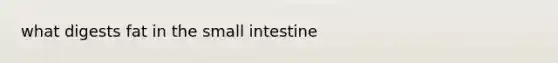 what digests fat in <a href='https://www.questionai.com/knowledge/kt623fh5xn-the-small-intestine' class='anchor-knowledge'>the small intestine</a>