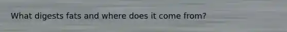 What digests fats and where does it come from?