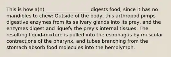 This is how a(n) __________________ digests food, since it has no mandibles to chew: Outside of the body, this arthropod pimps digestive enzymes from its salivary glands into its prey, and the enzymes digest and liquefy the prey's internal tissues. The resulting liquid-mixture is pulled into the esophagus by muscular contractions of the pharynx, and tubes branching from the stomach absorb food molecules into the hemolymph.