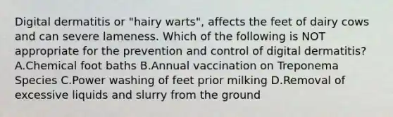 Digital dermatitis or "hairy warts", affects the feet of dairy cows and can severe lameness. Which of the following is NOT appropriate for the prevention and control of digital dermatitis? A.Chemical foot baths B.Annual vaccination on Treponema Species C.Power washing of feet prior milking D.Removal of excessive liquids and slurry from the ground