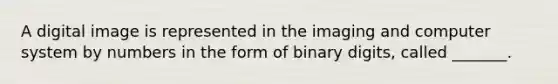 A digital image is represented in the imaging and computer system by numbers in the form of binary digits, called _______.