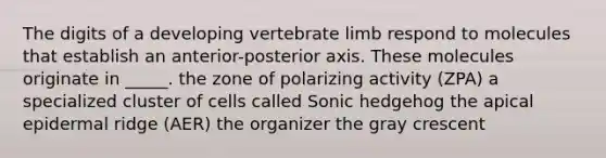 The digits of a developing vertebrate limb respond to molecules that establish an anterior-posterior axis. These molecules originate in _____. the zone of polarizing activity (ZPA) a specialized cluster of cells called Sonic hedgehog the apical epidermal ridge (AER) the organizer the gray crescent