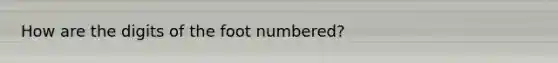 How are the digits of the foot numbered?