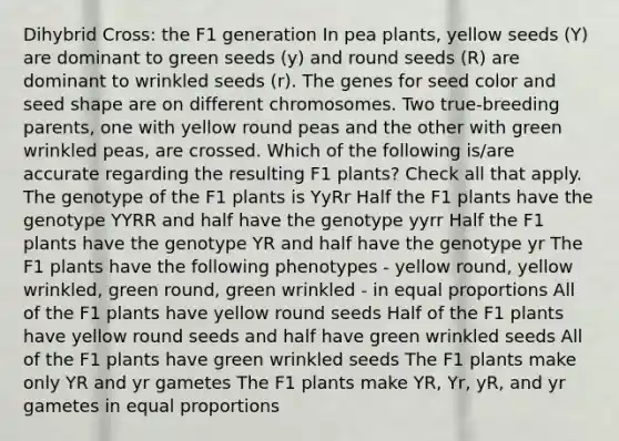 Dihybrid Cross: the F1 generation In pea plants, yellow seeds (Y) are dominant to green seeds (y) and round seeds (R) are dominant to wrinkled seeds (r). The genes for seed color and seed shape are on different chromosomes. Two true-breeding parents, one with yellow round peas and the other with green wrinkled peas, are crossed. Which of the following is/are accurate regarding the resulting F1 plants? Check all that apply. The genotype of the F1 plants is YyRr Half the F1 plants have the genotype YYRR and half have the genotype yyrr Half the F1 plants have the genotype YR and half have the genotype yr The F1 plants have the following phenotypes - yellow round, yellow wrinkled, green round, green wrinkled - in equal proportions All of the F1 plants have yellow round seeds Half of the F1 plants have yellow round seeds and half have green wrinkled seeds All of the F1 plants have green wrinkled seeds The F1 plants make only YR and yr gametes The F1 plants make YR, Yr, yR, and yr gametes in equal proportions