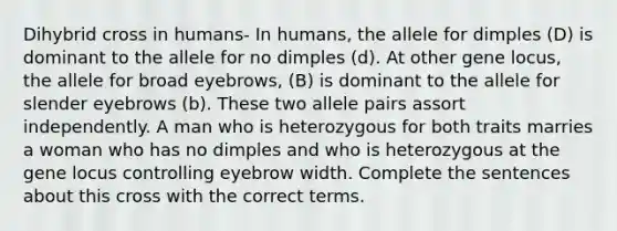 Dihybrid cross in humans- In humans, the allele for dimples (D) is dominant to the allele for no dimples (d). At other gene locus, the allele for broad eyebrows, (B) is dominant to the allele for slender eyebrows (b). These two allele pairs assort independently. A man who is heterozygous for both traits marries a woman who has no dimples and who is heterozygous at the gene locus controlling eyebrow width. Complete the sentences about this cross with the correct terms.