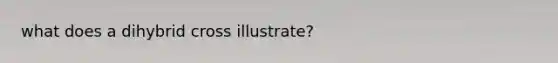 what does a dihybrid cross illustrate?