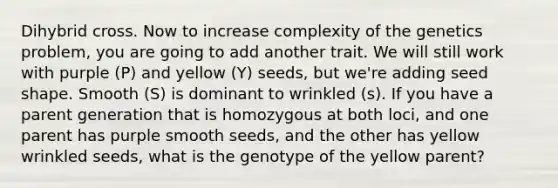 Dihybrid cross. Now to increase complexity of the genetics problem, you are going to add another trait. We will still work with purple (P) and yellow (Y) seeds, but we're adding seed shape. Smooth (S) is dominant to wrinkled (s). If you have a parent generation that is homozygous at both loci, and one parent has purple smooth seeds, and the other has yellow wrinkled seeds, what is the genotype of the yellow parent?